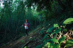 BIB: 
                            <button type="button" onclick="openModal(28124380)" class="btn btn-primary btn-sm float-right btn-popup" data-toggle="modal" data-target=".modal-high-quality">
                        <i class="fas fa-shopping-cart"></i> Add to Cart
                    </button>
                                            <button type="button" onclick="isThisMe(28124380, true)" class="btn btn-success btn-sm float-right btn-popup btn-isme hidden" data-toggle="tooltip" data-placement="bottom" title="นี่คือรูปของคุณใช่ไหม คลิกที่นี่เพื่อเอาเข้าอัลบั้ม">
                        <i class="fas fa-plus"></i> Add to album
                    </button>
                    <button type="button" onclick="isThisMe(28124380, false)" class="btn btn-warning btn-sm float-right btn-popup btn-isnotme hidden">
                        <i class="fas fa-ban"></i> Remove from album
                    </button>